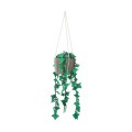 A5500250 01 kidsdepot-hangplant-hedera-felix Tangara groothandel voor de kinderopvang